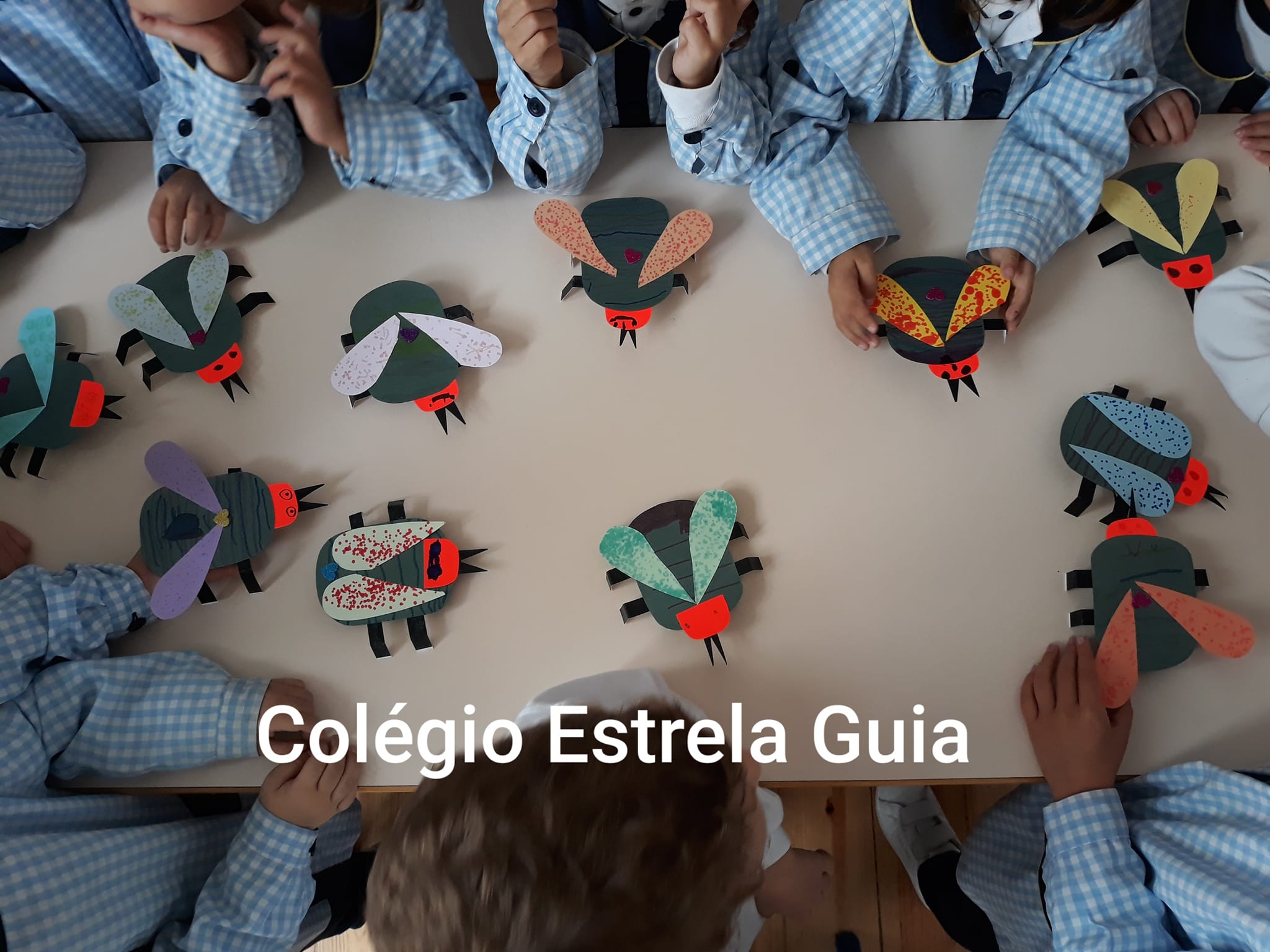 398755433_3614451975466661_463239680864755271_n