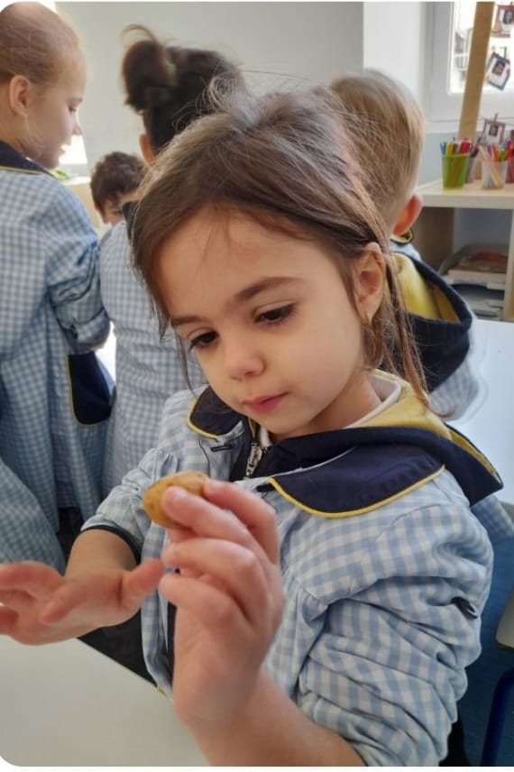 417471615_417566974160047_2046071570120187569_n